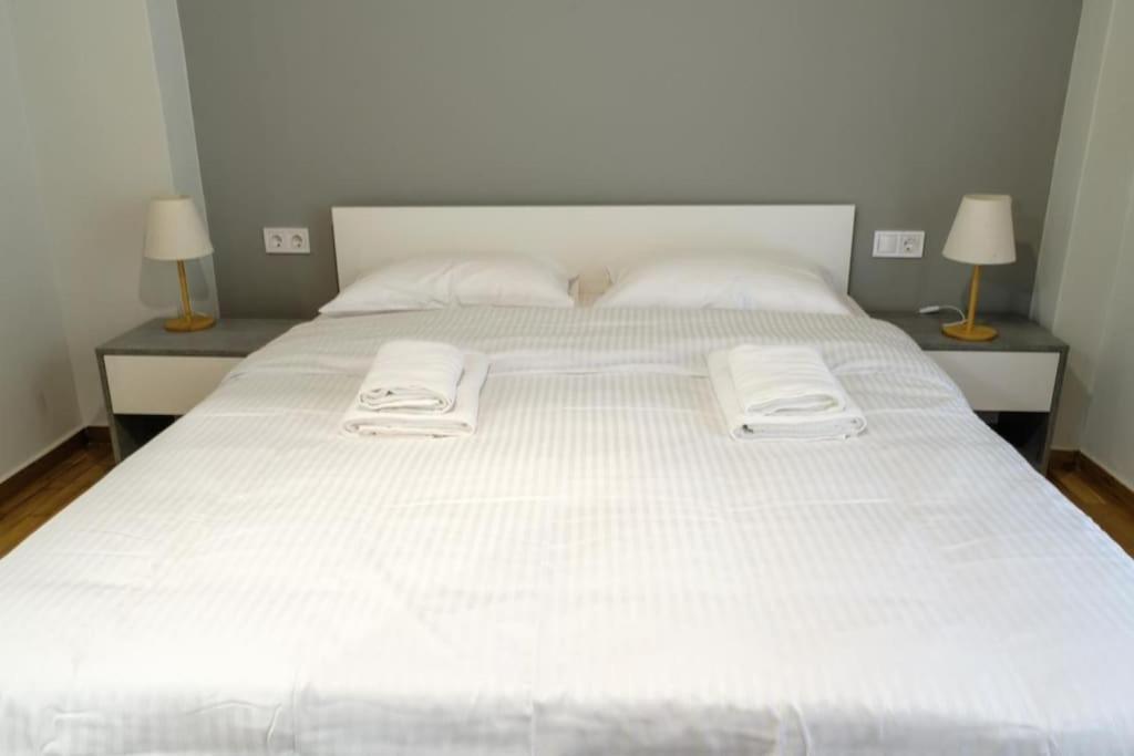 Modern Pangrati Flat! Lejlighed Athen Eksteriør billede